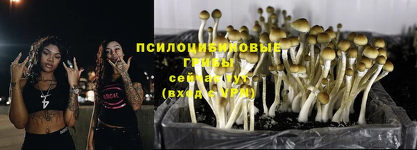 кокс Балабаново