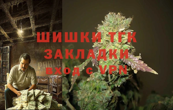тгк Белокуриха