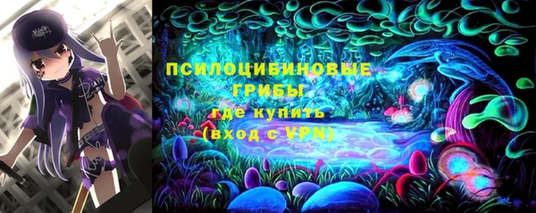 альфа пвп Беломорск